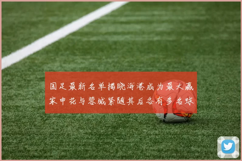 国足最新名单揭晓海港成为最大赢家申花与蓉城紧随其后各有多名球员入选