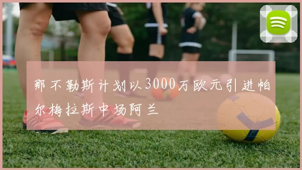 那不勒斯计划以3000万欧元引进帕尔梅拉斯中场阿兰